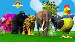 Paint & Animals Cat, Pig, Rabit Buffalo, Lion Fountain Crossing Transformation Animal Cartoon - P1