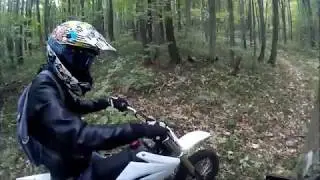 Покатушка по лесу