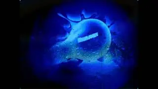 [Feelspasta] Yo Gabba Gabba!: Depression End credits [Logos only!]