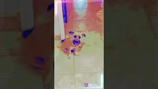 #yosammy