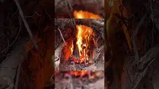 How to Make a Wilderness Cooking Tripod with Natural Materials