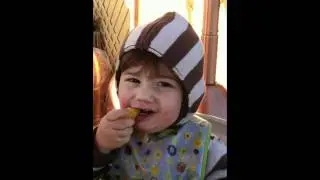 Baby boy eats a lemon