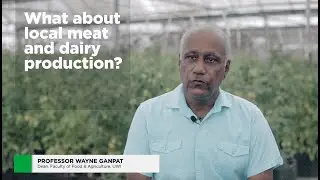 What About Local Meat and Dairy Production?