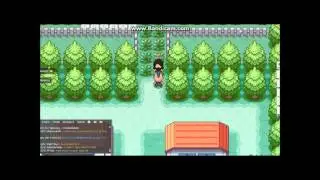 POKEMMO - FIRE RED /ROJO FUEGO l &iexcl;&iexcl; 