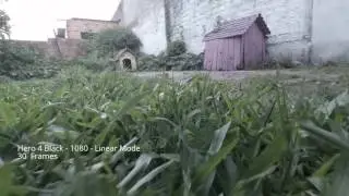 Gopro video test - Walking - 1080 - Linear mode - 30 F