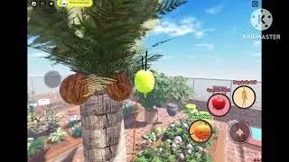 WEEEEEEEEEEEEE