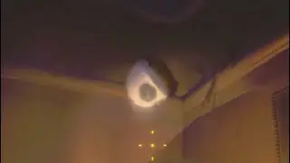 R.E.P.O and Friends becomes more chaotic