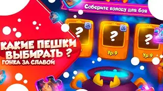 RUSH ROYALE 23.0 | ГОНКА ЗА СЛАВОЙ | КАК ВЫБРАТЬ КОЛОДУ?
