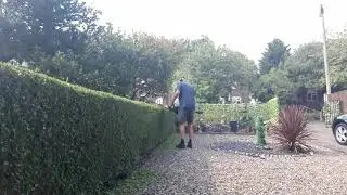 McCullouch Ergolite 6028 hedge trimmer  in action 👍☺🙂