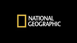 National Geographic present a life of wild animals in Siberian Taiga