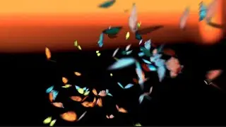 Butterfly Light Effect Template Video Background | Capcut | Kinemaster Black Screen Template