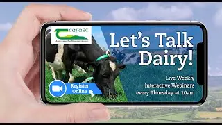 Let's Talk Dairy - Tools to keep grass in the diet longer this autumn