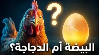 البيضة أم الدجاجة؟ الإجابة العلمية ستفاجئك!