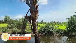 Phút Cầu Nguyện, Thứ Năm 29/01/2026: Ơn khôn ngoan thì hơn mọi báu vật