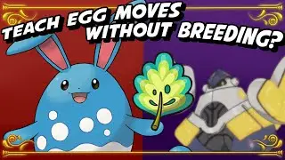 The Mirror Herb: Teaching egg moves to Pokemon without breeding? Give your Azumirill Belly Drum!!