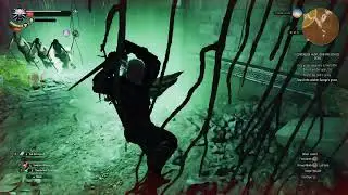 Witcher 3 part 19: Crookback bog