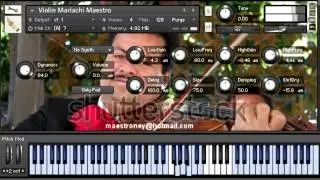 ,Violin Mariachi Maestro nki kontakt 41 or sup