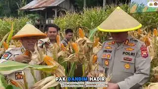 Panen Raya Jagung Serentak Kuartal I Tahun 2026 Dalam Rangka Mendukung Swasembada Pangan