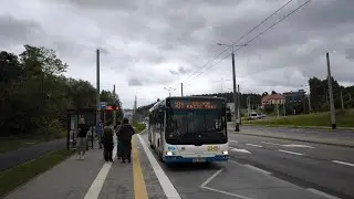 MAN NL313 Lion's City #2048 [🚍181] PKM Gdynia
