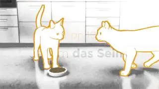 Abbau von Stress bei Katzen - Tipp 10: Jedem das Seine