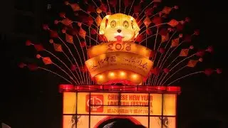 Chinese New Year lantern festival lights up Sydney harbour