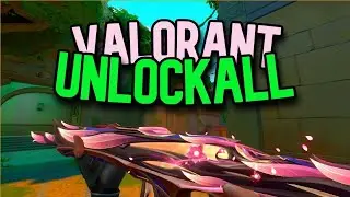 Mind Blowing VALORANT  *UNLOCK ALL* Tool !!