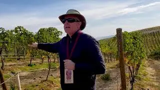 Owen Roe's Union Gap Vineyard - A tour with David O'Reilly