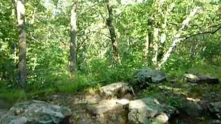 Whipple hill meandering