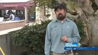 SBCC Center for Lifelong Learning Conserves Water