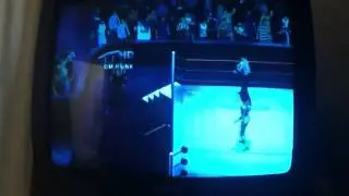 Unthertaker vs C.M.punk hell in a cell S v R 2011