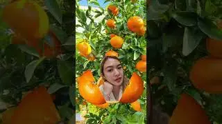 WOW!! ORANGE and ORANGE Girl surprise 🍊🍊🍊 #Shorts #orange #fruits #trending #asmr #fyp