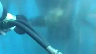 Propeller Polishing using Hydraulic Propeller Poslisher