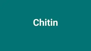 'Chitin' Meaning and Pronunciation