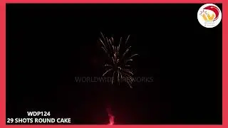 WDP124  29SHOTS ROUND SHAPE CAKE