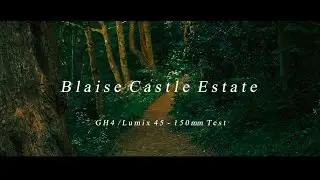 Panasonic Lumix GH4   |   45-150mm f4.0-5.6  |  Quick Test