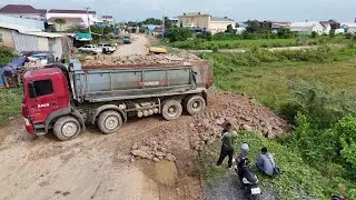 Just New Project Powerful Operation with SHANTUI Dozer and 12-Wheel Dump Trucks Filling Flooded Land