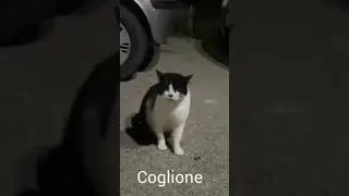 26 gennaio 2026