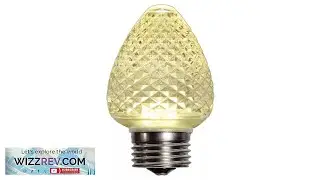 25 C9 Warm White LED Faceted Christmas Light Bulbs LED Bulb Dimmable