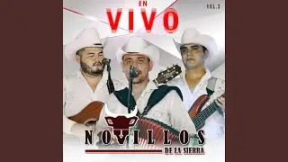 Luis Felix (En Vivo)