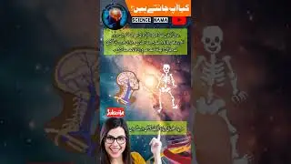 human body is tha part of #shorts #urdu #inurdu #facts #urdufacts #humanbody #milkyway