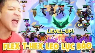 C&Ugrave;NG EM NHISM FLEX FLEX CON B&Agrave;I T-HEX ĐỂ LEO RANK LỤC BẢO