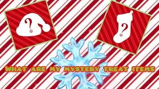Jeffree star secret Santa and stocking stuffer mystery treats unboxing