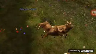 Deer hunter играем