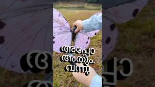 Magical RC Flying Butterfly! 🦋 Unboxing and Flight Test #trending #toys #review #shorts