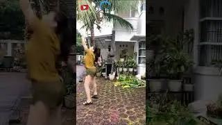 motong pelepah pohon kelapa 🤔