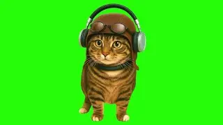 OIIA OIIA CRAZY FROG Spinning CAT (XertXetin Remix) (feat. XertXetin)
