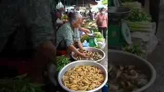The life of snails and sago worms in traditional markets.@mujahid81-ai