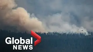 Fast-moving White Rock Lake wildfire tears through BC's Okanagan