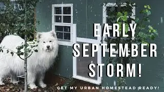 Prepare for a Rogue Early Storm with Me! | Urban Homestead Vlog, Garden Tour, Harvest, and Chickens!