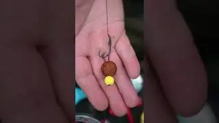 Top n&aacute;vazec na kapry?! 🔥💚 Zasek&aacute;vac&iacute; ma&scaron;ina s mal&yacute;m PVA do chladn&eacute; vody.  #carpfishing #carp